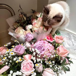 3dmax怪物视频无尽
